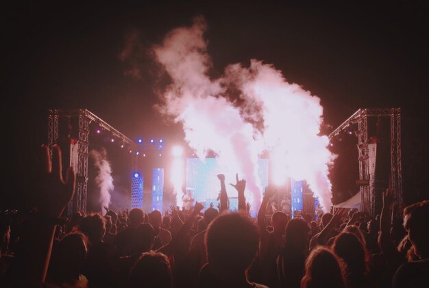 Group of people at music concert