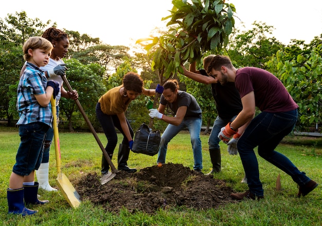 Il gruppo di persone pianta insieme un albero all'aperto