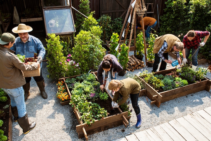 Photo group of people planting vegetable in greenhouse