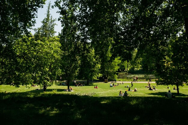 Photo group of people playing in park