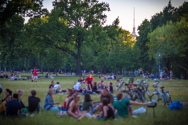 Photo group of people relaxing on grassland