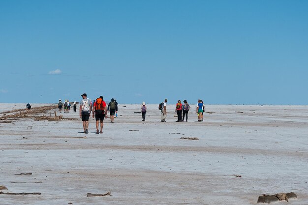 Group of people standing at beach against blue sky during sunny day