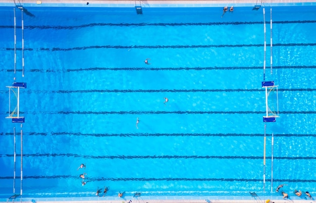 Group of people swimming in a pool