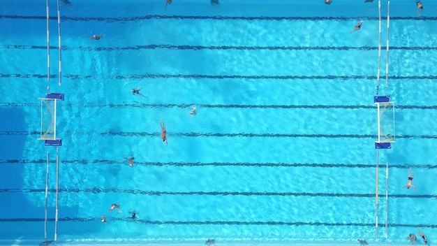 Group of People Swimming in a Pool