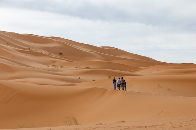 Group of people walk along the sand dunes in the sahara desert morocco