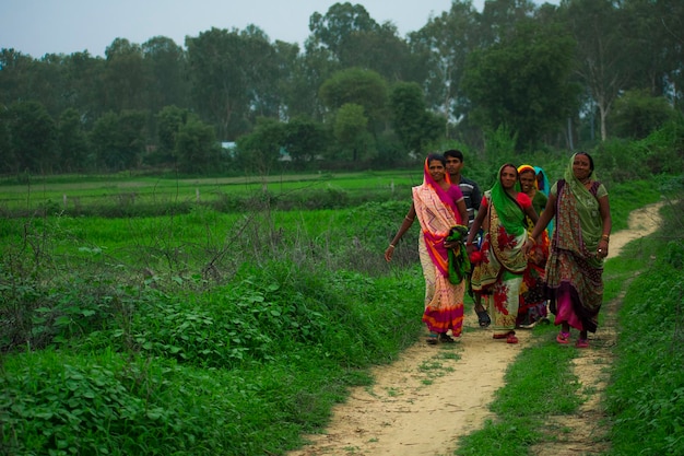 A group of people walk down a dirt road in a field.