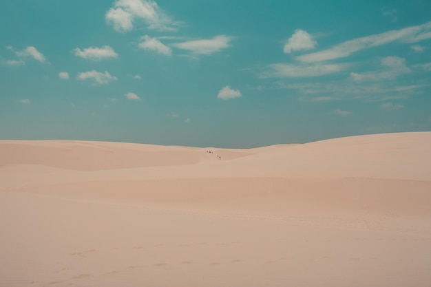 Photo group of people walking in the desert