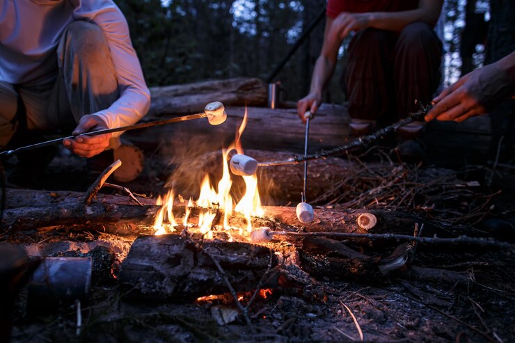 Photo group of people on wooden log