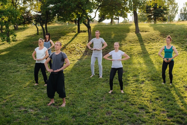 Un gruppo di persone fa yoga nel parco al tramonto. stile di vita sano, meditazione e benessere.