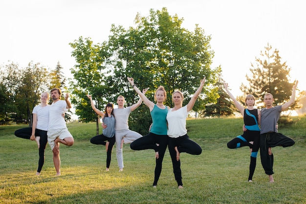 Un gruppo di persone fa yoga nel parco al tramonto. stile di vita sano, meditazione e benessere.