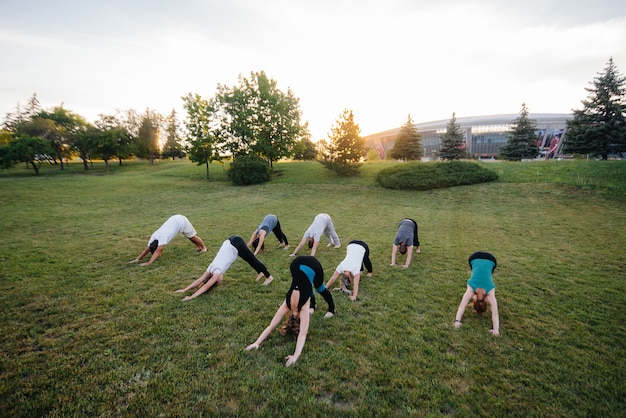 A group of people do yoga in the Park at sunset.