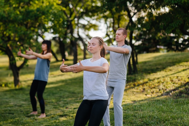 A group of people do yoga in the Park at sunset