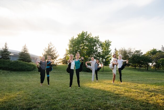 A group of people do yoga in the Park at sunset