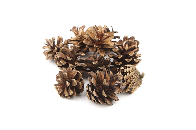 Group of pine cones isolated on white background closeup Christmas decoration