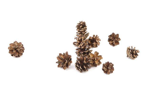 Group of pine cones isolated on white background closeup Christmas decoration