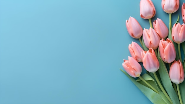 Premium Photo | A group of pink tulips on a blue background