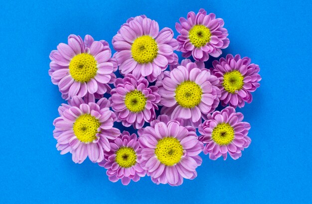 Group of pink and yellow flowers over blue table