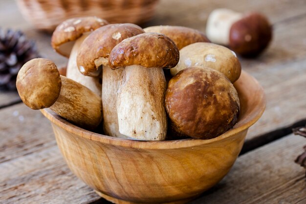 Group of porcini mushrooms on wooden background