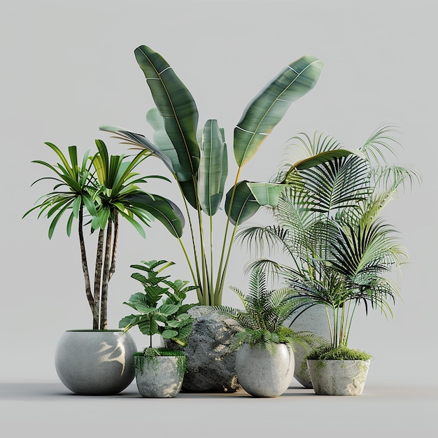 a group of potted plants with plants in them