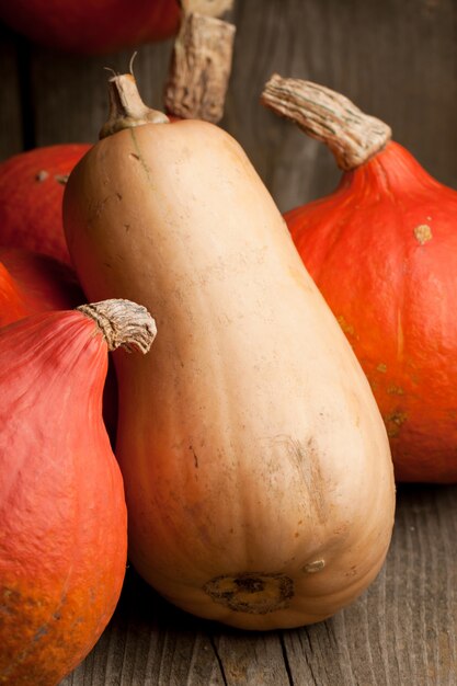 Group of pumpkins