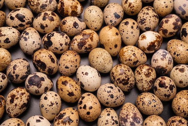 Group of quail eggs as a background Raw eggs