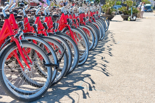 Group of red city bicycles parking on the street