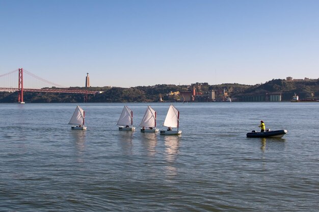 a group of sailboats are sailing on the water