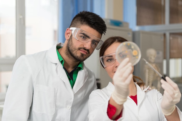 Group Of Scientists Working At The Laboratory