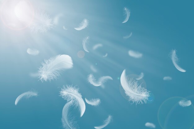 Group of Soft and Light White Feathers Floating in The Sk