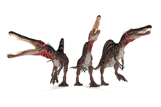 Foto gruppo di spinosaurus su sfondo bianco 3d'illustrazione