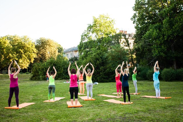 Group of sporty attractive young women practicing yoga on a nature