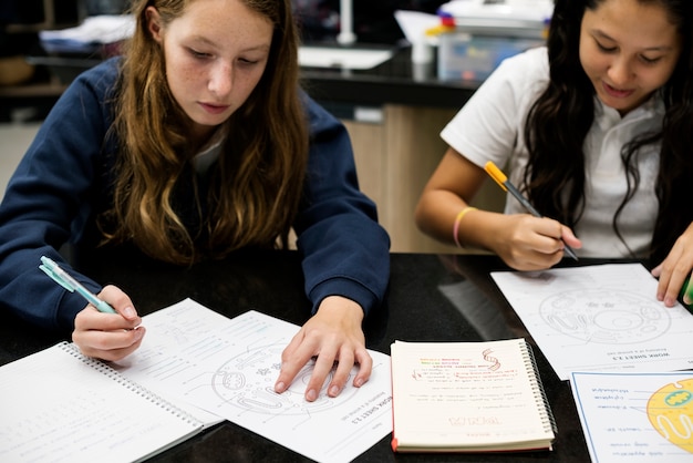 Group of students studying in the classroom