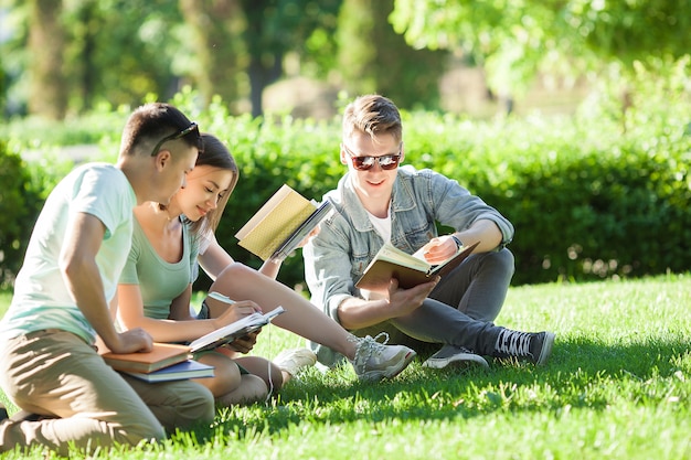 Gruppo di studenti che studiano all'aperto