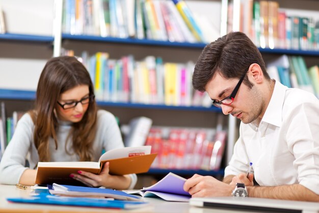 Group of Students at work in a Library