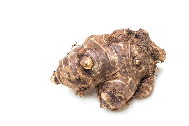 Group of taro roots 