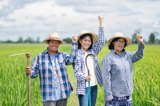 A group of three Asian farmer women stood smilingly and raised their hands at the green rice field