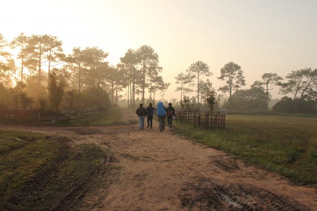 Group of tourist walking on hiking trail path in forest