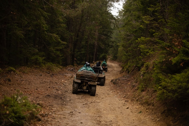 ATV의 관광객 그룹이 숲을 통과합니다. 더러운 ATV는 오프로드를 운전합니다.