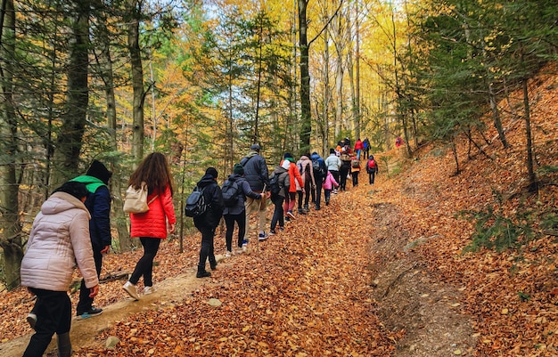 Foto un gruppo di turisti in autunno nelle foreste dei carpazi si arrampica in salita