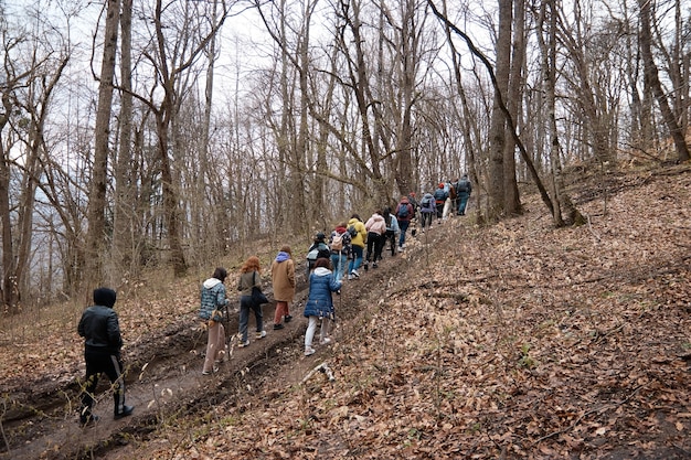 観光客のグループは、山、秋、森、木々への林道を登ります