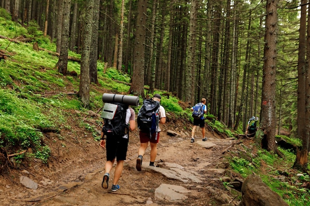 Group of tourists walking along the mountain