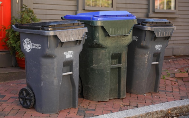 A group of trash cans are lined up on a sidewalk.