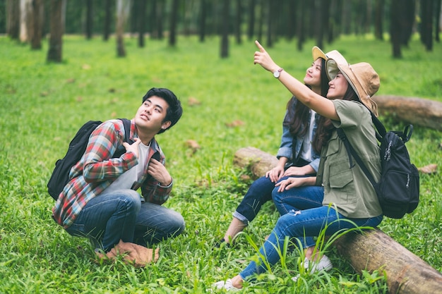 A group of travelers sitting on a log and looking into a beautiful pine woods