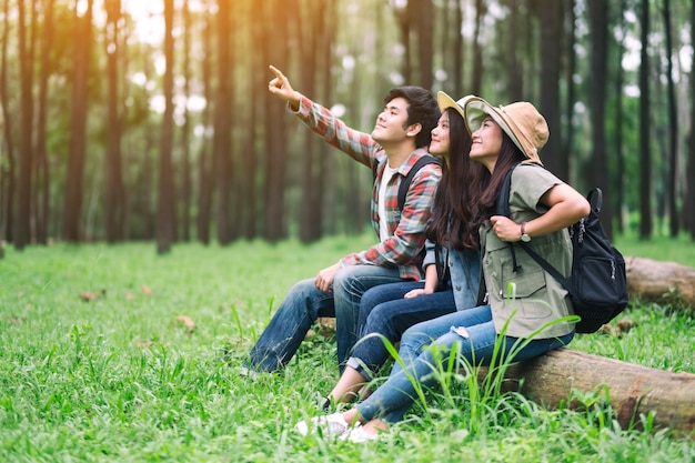 A group of travelers sitting on a log and looking into a beautiful pine woods