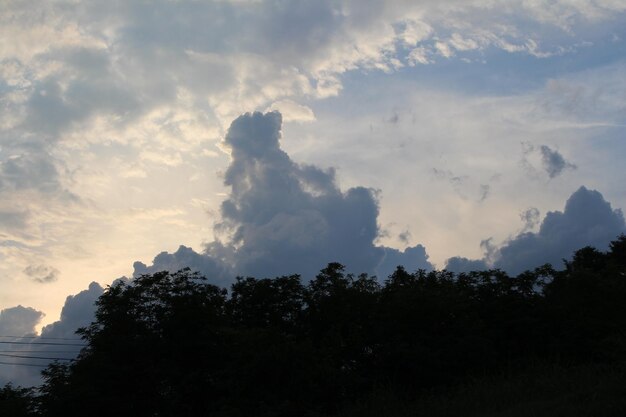 Photo a group of trees and clouds