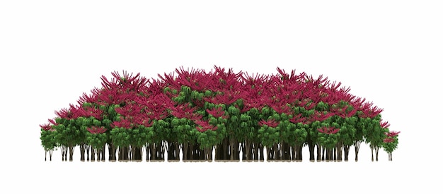 Foto gruppo di alberi isolati su uno sfondo bianco grandi alberi nella foresta 3d render cg illustrazione