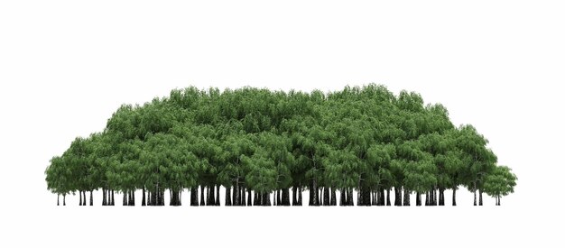 group of trees isolated on a white background big trees in the forest 3D illustration cg render