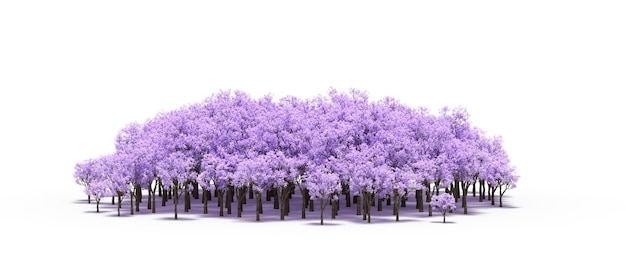 白い背景に分離された木のグループ 森の 3 D イラストレーション cg レンダリングの大きな木