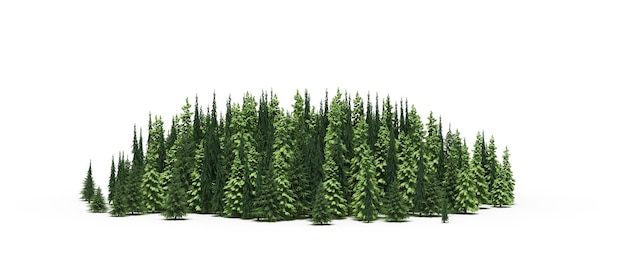 group of trees isolated on a white background big trees in the forest 3D illustration cg render