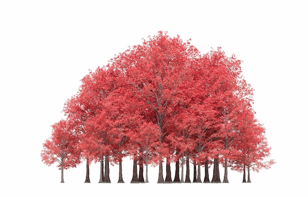 group of trees isolated on a white background big trees in the forest 3D illustration cg render